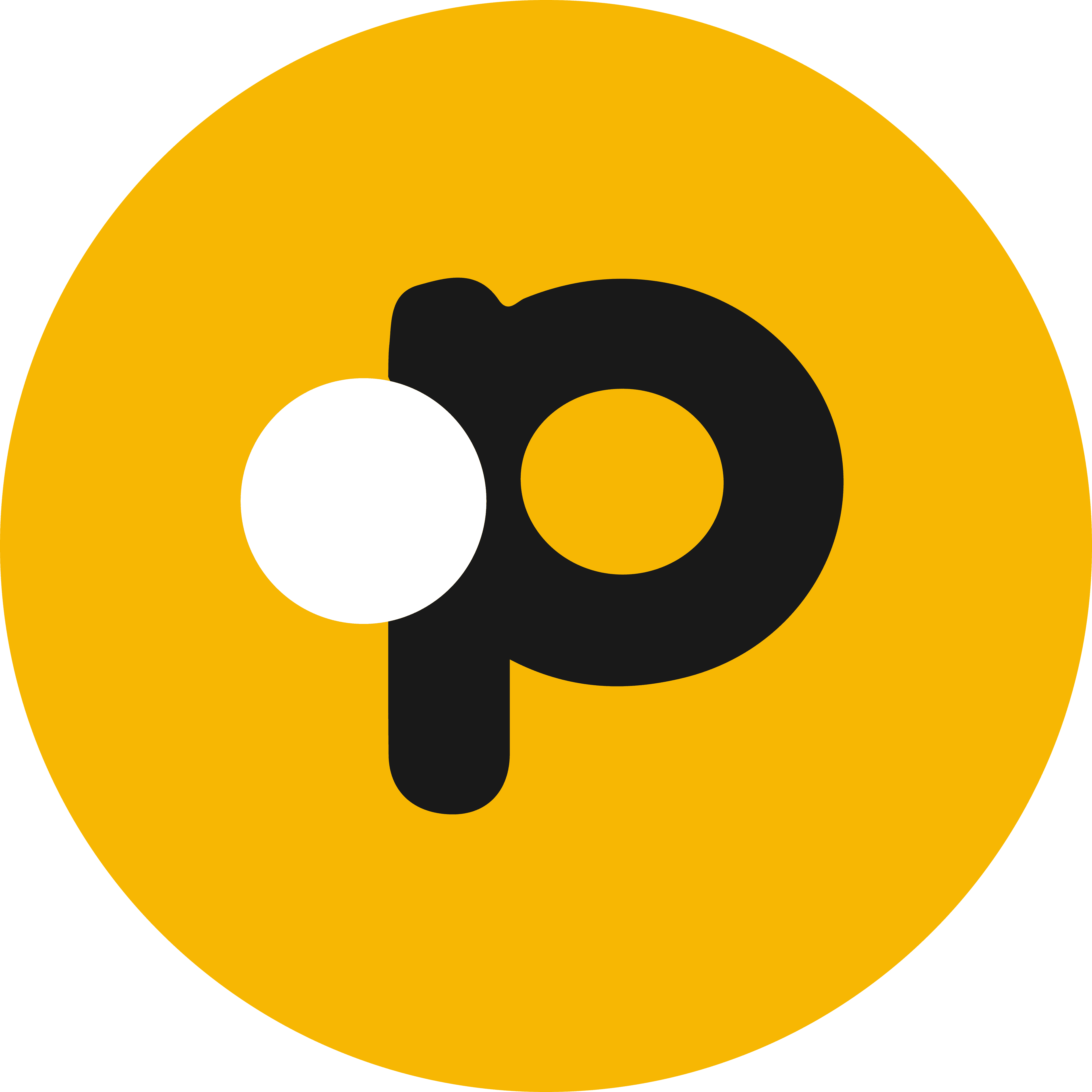Partner logo